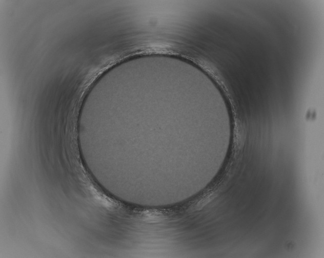 X0000112000481200909141105