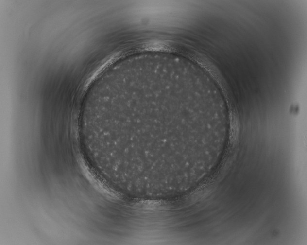 X0000112000482200909141105