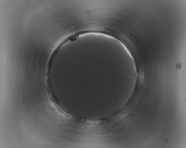 X0000112000484200909141105