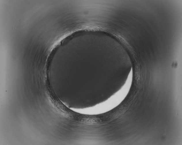 X0000112000488200909141105