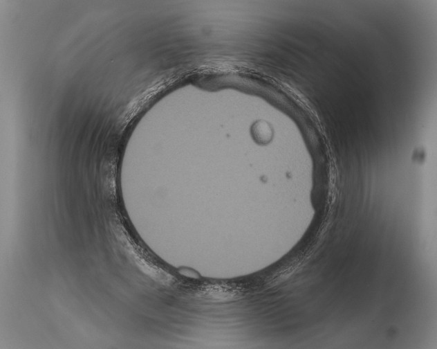 X0000112000489200909141105