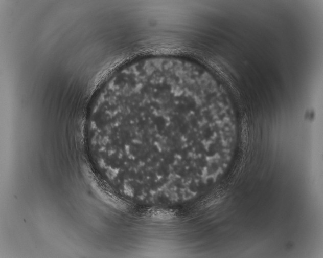 X0000112000491200909141105