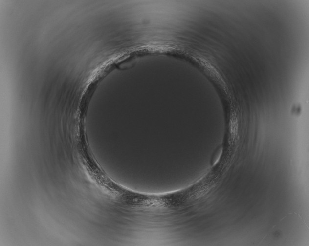 X0000112000492200909141105