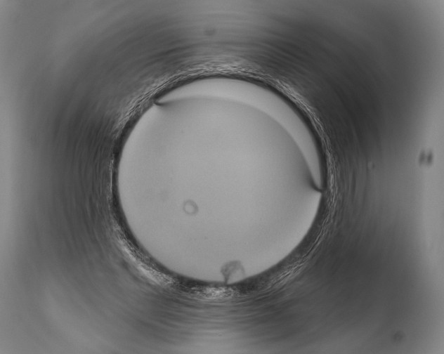 X0000112000493200909141105