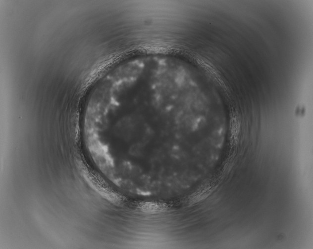 X0000112000494200909141105