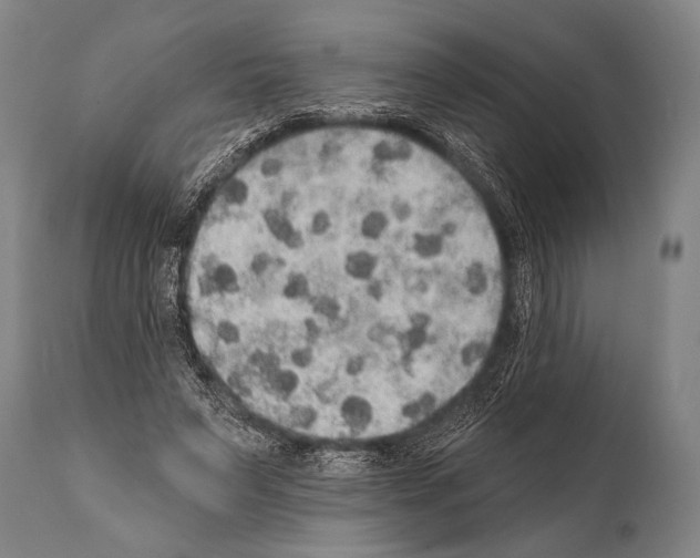 X0000112000495200909141105