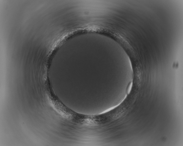 X0000112000496200909141105