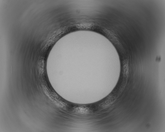 X0000112000498200909141105