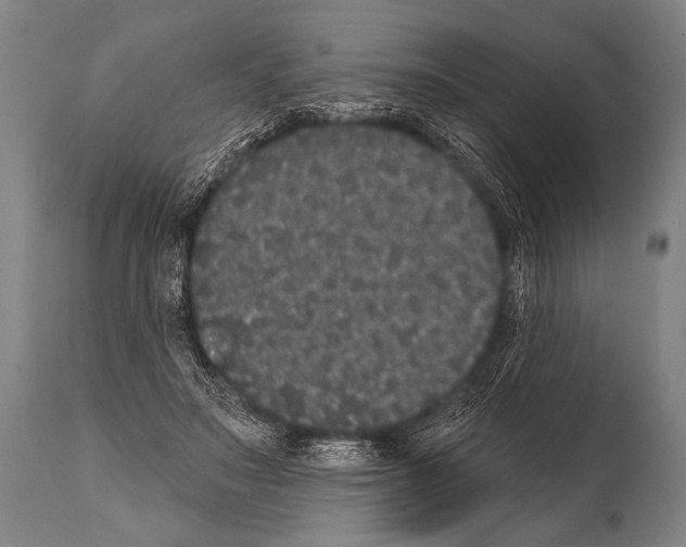 X0000112000499200909141105