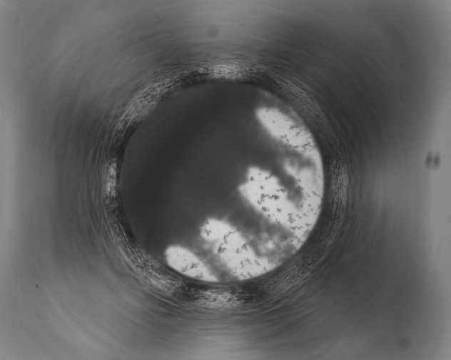 X0000112000502200909141105