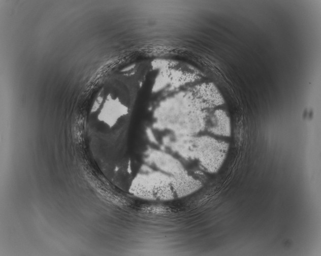 X0000112000503200909141105