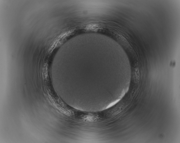 X0000112000504200909141105