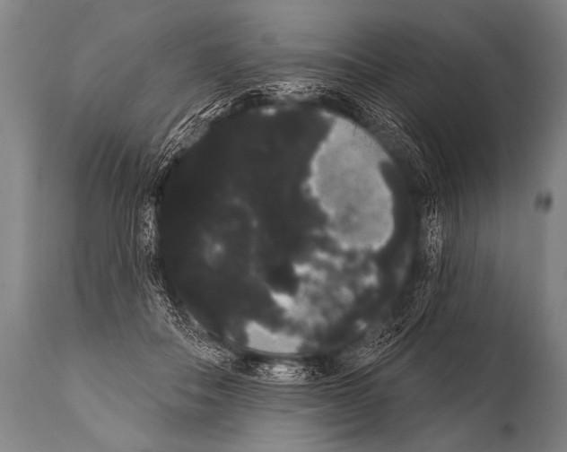 X0000112000506200909141105