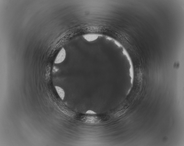 X0000112000507200909141105