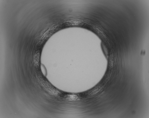 X0000112000509200909141105