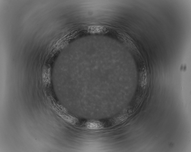 X0000112000510200909141105