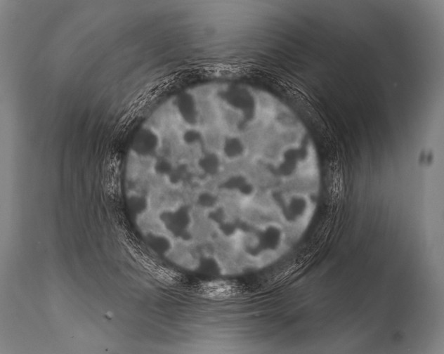 X0000112000511200909141105