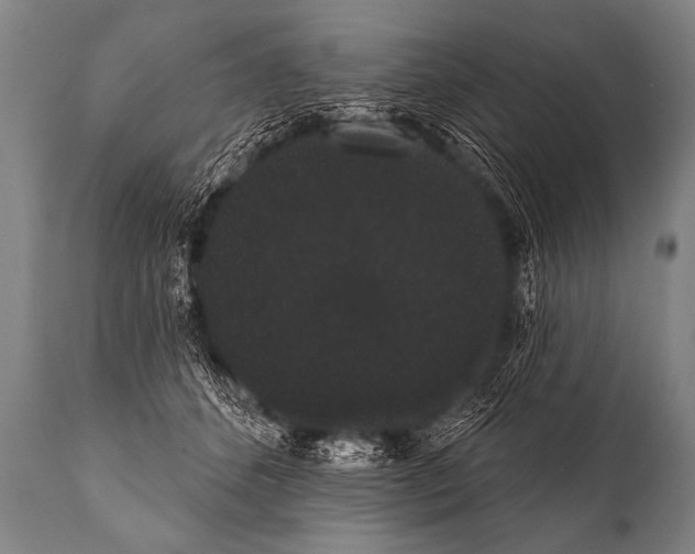 X0000112000512200909141105