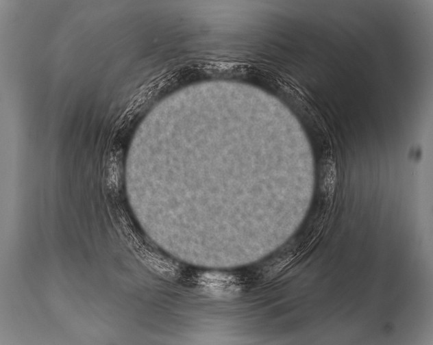 X0000112000515200909141104