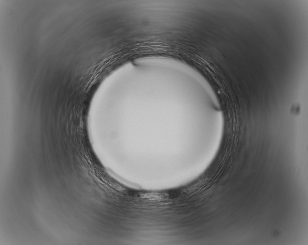 X0000112000516200909141104