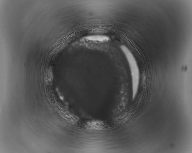 X0000112000517200909141104