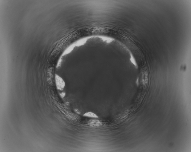 X0000112000519200909141104