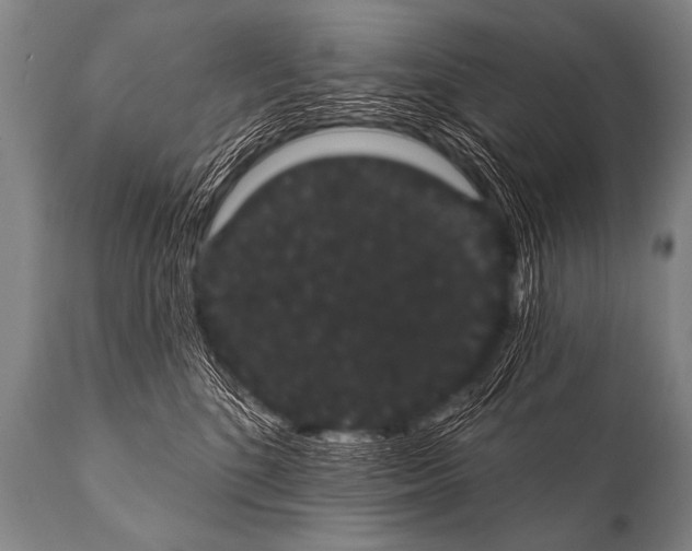 X0000112000520200909141104