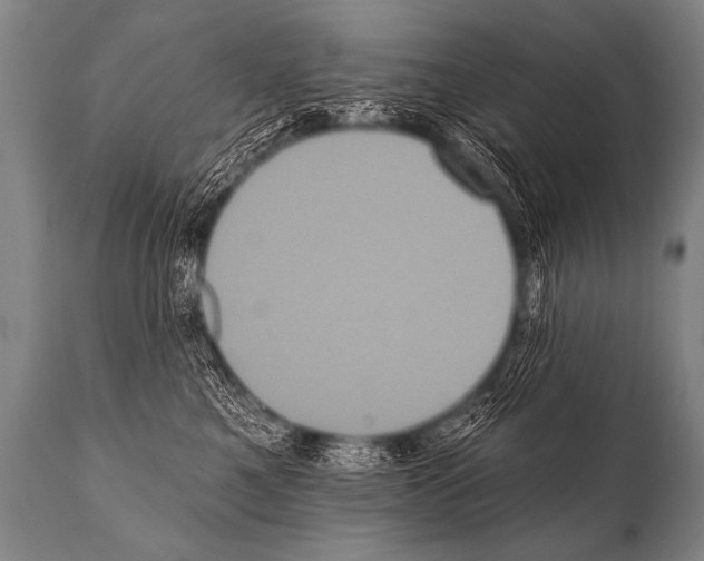 X0000112000521200909141104