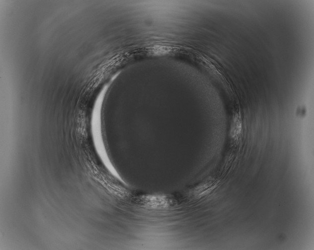 X0000112000524200909141104