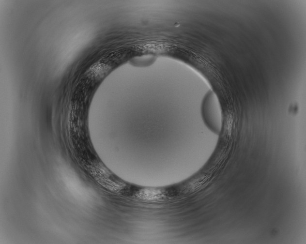 X0000112000526200909141104