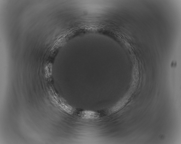 X0000112000528200909141104