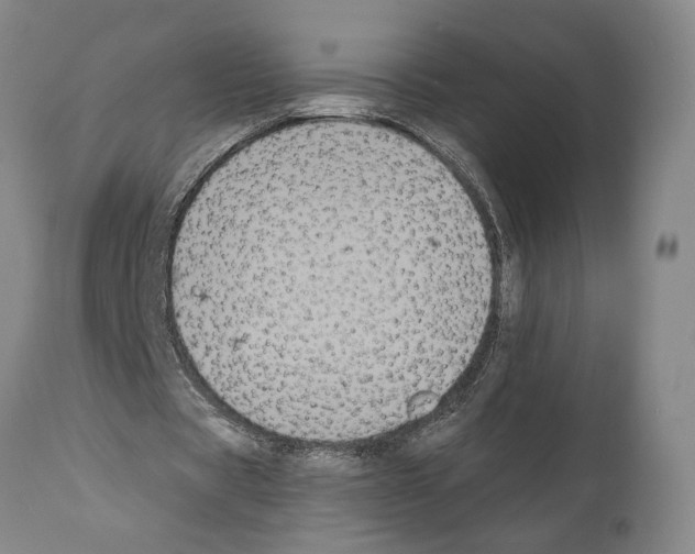 X0000112000529200909141103