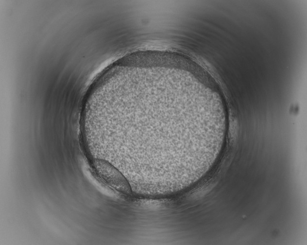 X0000112000530200909141103