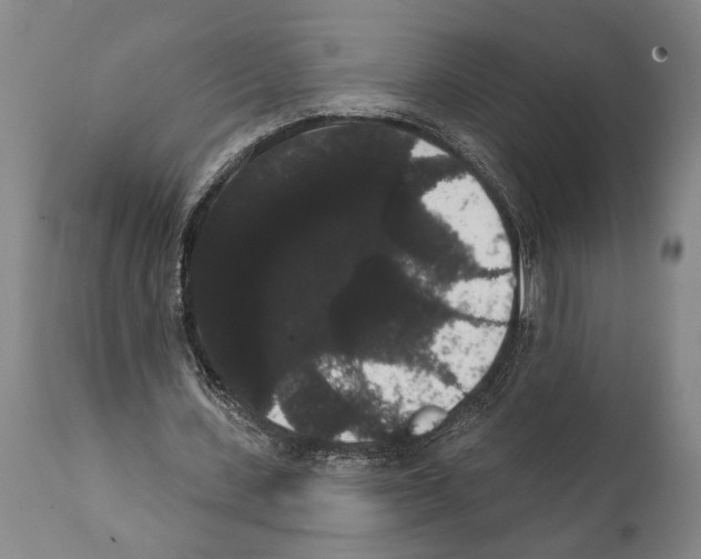 X0000112000531200909141103