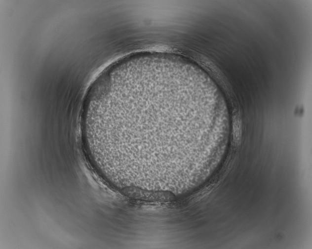 X0000112000532200909141103