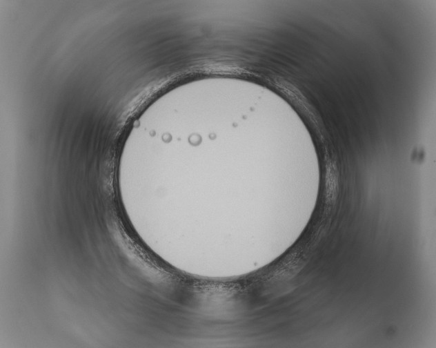 X0000112000533200909141103