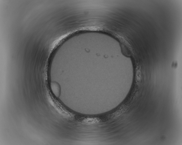 X0000112000536200909141103