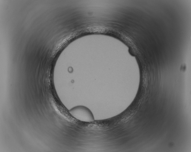 X0000112000538200909141103