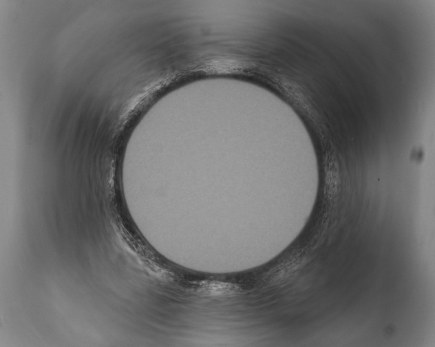 X0000112000539200909141103