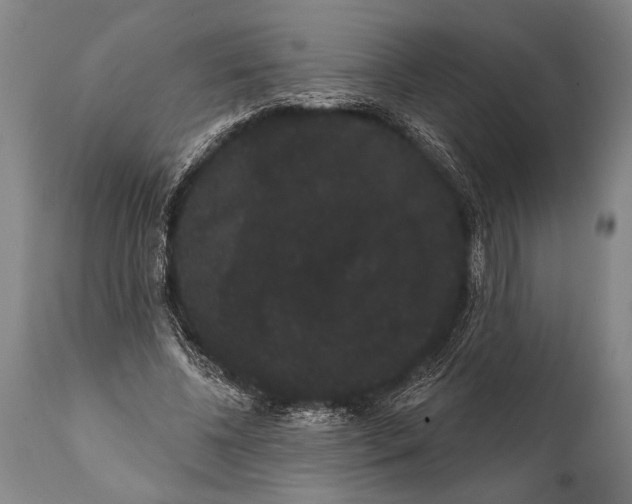 X0000112000540200909141103