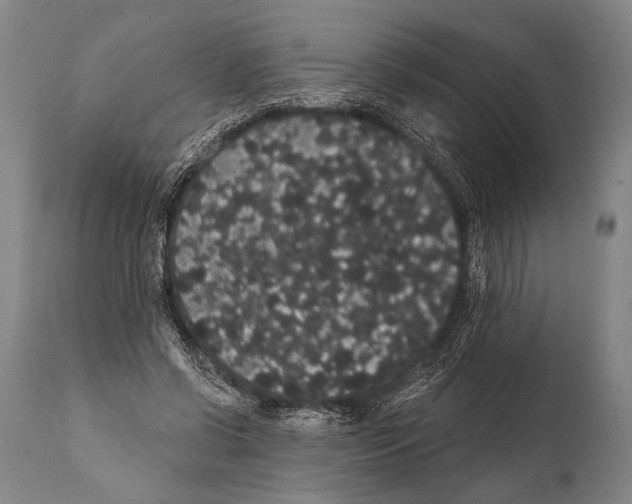 X0000112000542200909141103