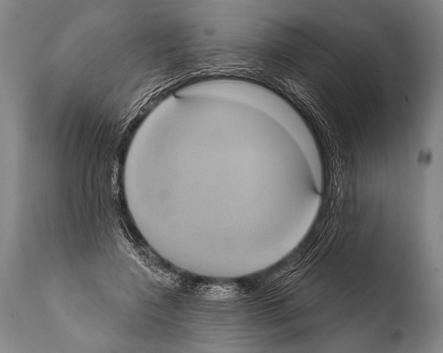 X0000112000548200909141104