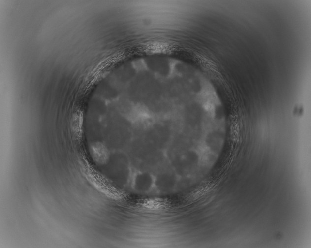 X0000112000550200909141104