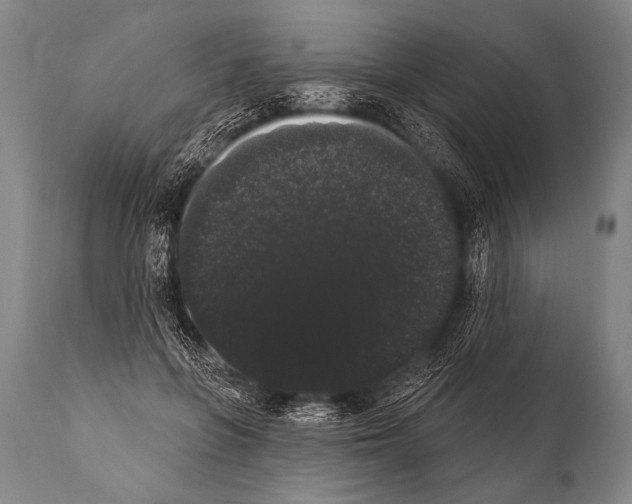 X0000112000551200909141104