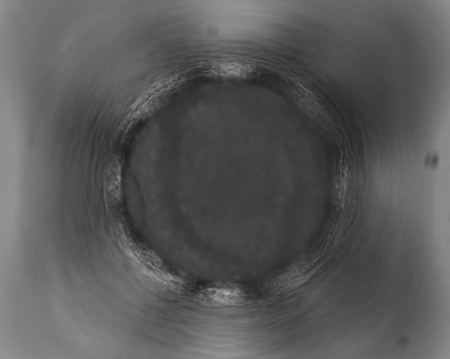 X0000112000552200909141104