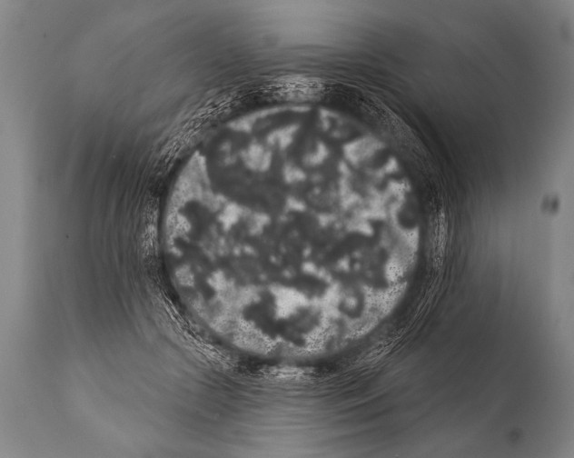 X0000112000553200909141104