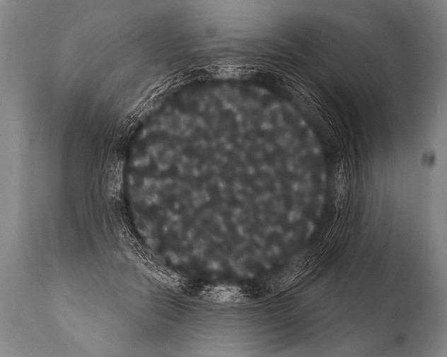 X0000112000554200909141104