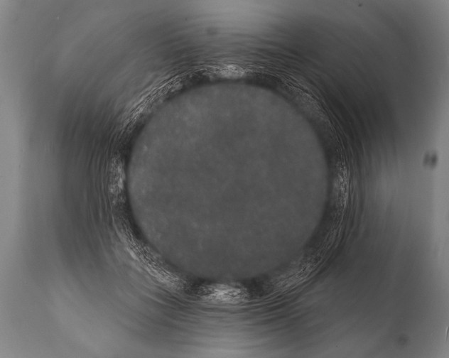 X0000112000555200909141104