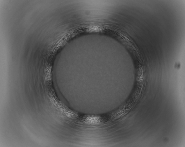 X0000112000560200909141104