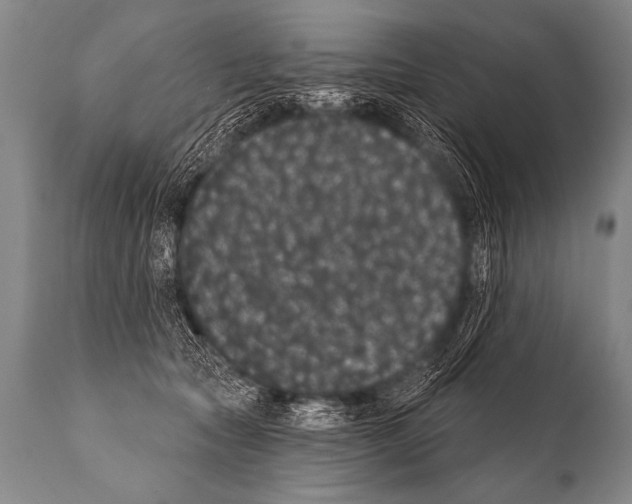 X0000112000561200909141104